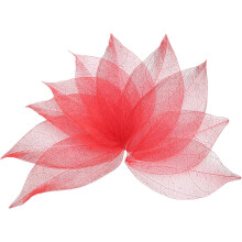 100 Pcs Red Skeleton Leaves, 2"- 3" Rubber Tree Scrapbooking Dried Pressed Leaves Vein for Photo Albums Crafts Wedding Cards Arrangements Decor Gifts