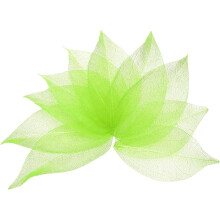 100 Pcs Grass Green Skeleton Leaves, 2"- 3" Rubber Tree Scrapbooking Dried Pressed Leaves Vein for Photo Albums Crafts Wedding Cards Arrangements Deco