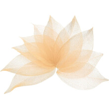 100 Pcs Light Orange Skeleton Leaves, 2"- 3" Rubber Tree Scrapbooking Dried Pressed Leaves Vein for Photo Albums Crafts Wedding Cards Arrangements Dec