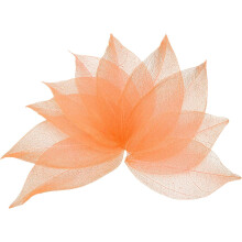 100 Pcs Orange Skeleton Leaves, 2"- 3" Rubber Tree Scrapbooking Dried Pressed Leaves Vein for Photo Albums Crafts Wedding Cards Arrangements Decor Gif