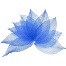 100 Pcs Dark Blue Skeleton Leaves, 2"- 3" Rubber Tree Scrapbooking Dried Pressed Leaves Vein for Photo Albums Crafts Wedding Cards Arrangements Decor