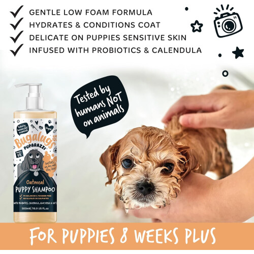 BugaLugs Bugalugs Oatmeal Puppy Shampoo Grooming 500ml 2