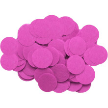 200Pcs Round Felt Circles Soft Thick for Crafts 1 3/16 Inch Felt Pads for DIY Sewing Handcraft Rose Red