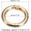 Round Spring O Rings, Trigger Buckle Snap Clips for Bags, Purses, DIY Accessories 2