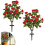 Set van 2 kunstmatige rozenbomen van 80 cm, rode zijden topiary 1