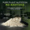 Vegan Protein 85 | 500g Tub 7