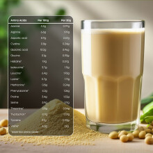 Vegan Protein 80 | 1KG Tub