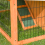 KCT KCT Monza 3ft Rabbit Hutch with Protective Cover 11