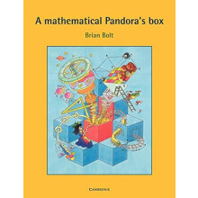 A Mathematical Pandoras Box by Brian Bolt Paperback Book