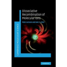 Dissociative Recombination of Molecular Ions by Mats Larsson Hardcover