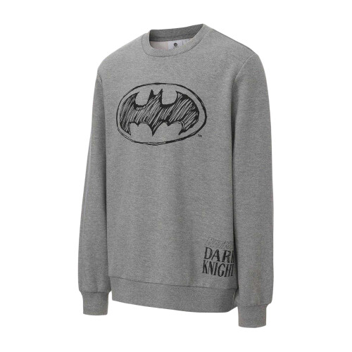 Batman (M, Grey) Batman Mens Character Crew Neck Sweatshirt 2