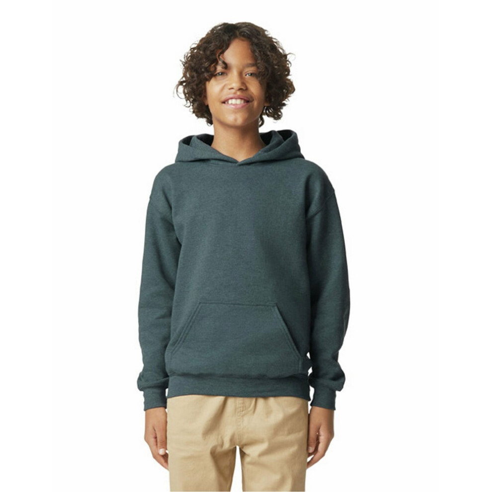 Gildan (3-4 Years, Dark Heather) Childrens/Kids Softstyle Plain Midweight Hoodie
