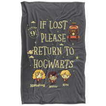 (152cm x 127cm, Multicoloured) Harry Potter Return To Hogwarts Blanket