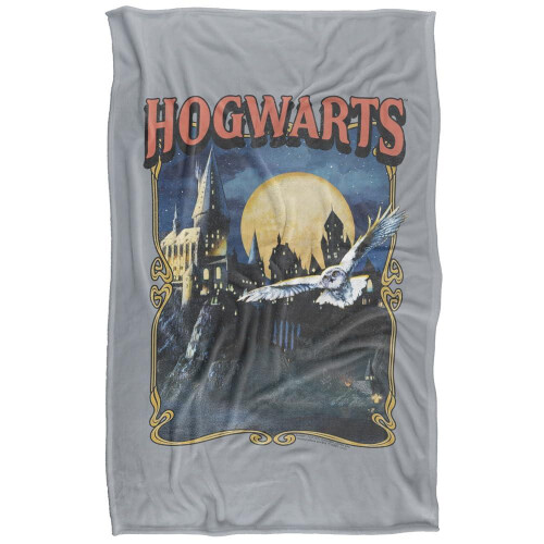 Harry Potter (152cm x 127cm, Multicoloured) Harry Potter Hogwarts Poster Throw