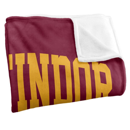 Harry Potter (152cm x 127cm, Multicoloured) Harry Potter Gryffindor Arched Blanket 2