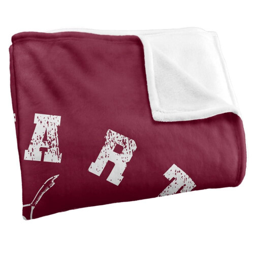 Harry Potter (152cm x 127cm, Multicoloured) Harry Potter Gryffindor Quidditch Blanket 2