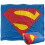 Superman (152cm x 127cm, Multicoloured) Superman 2024 Shield Blanket 2