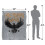 Game of Thrones (152cm x 127cm, Multicoloured) Game Of Thrones Nights Watch Eagle Soft Touch Blanket 4