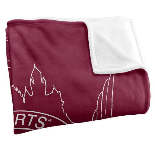 Harry Potter (152cm x 127cm, Multicoloured) Harry Potter Hogwarts Badge Blanket 2