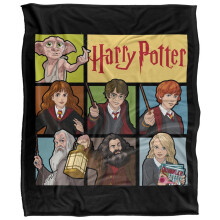 (152cm x 127cm, Multicoloured) Harry Potter Heroes Of Hogwarts Soft Touch Blanket