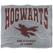(147cm x 91cm, Multicoloured) Harry Potter Hogwarts Soft Touch Blanket