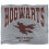 Harry Potter (147cm x 91cm, Multicoloured) Harry Potter Hogwarts Soft Touch Blanket 1