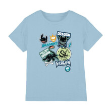(5-6 Years, Light Blue) How To Train Your Dragon Childrens/Kids Don't Mess With My Dragon Badge T-Shirt