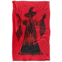 (152cm x 127cm, Multicoloured) Harry Potter Professor McGonagall Piertotum Locomotor Blanket