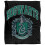 Harry Potter Harry Potter Hogwarts Slytherin Soft Touch Blanket 1