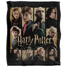 (152cm x 127cm, Multicoloured) Harry Potter Heroes Villains Character Collage Blanket