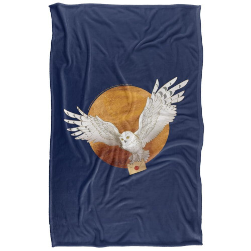 Harry Potter (36in x 58in, Multicoloured) Harry Potter Hedwig Full Moon Soft Touch Throw