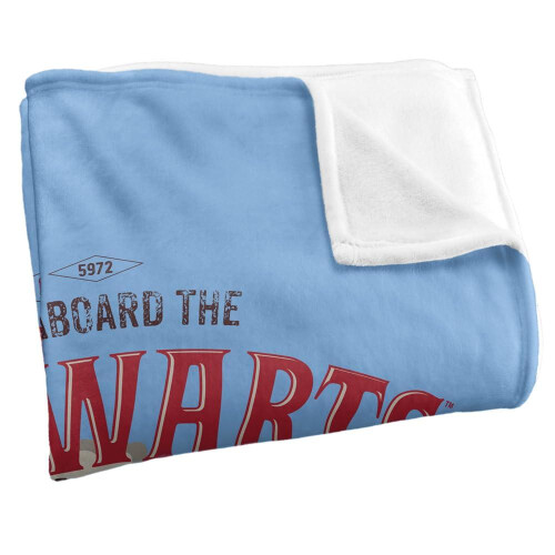 Harry Potter (147cm x 91cm, Multicoloured) Harry Potter Hogwarts Express Soft Touch Blanket 2