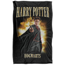 (147cm x 91cm, Multicoloured) Harry Potter Poster 90s Blanket