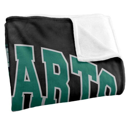 Harry Potter Harry Potter Hogwarts Slytherin Soft Touch Blanket 2