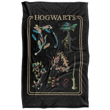(147cm x 91cm, Multicoloured) Harry Potter Blanket