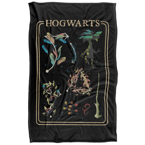 Harry Potter (147cm x 91cm, Multicoloured) Harry Potter Blanket