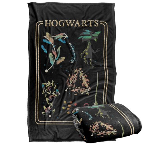 Harry Potter (152cm x 127cm, Multicoloured) Harry Potter Blanket 2