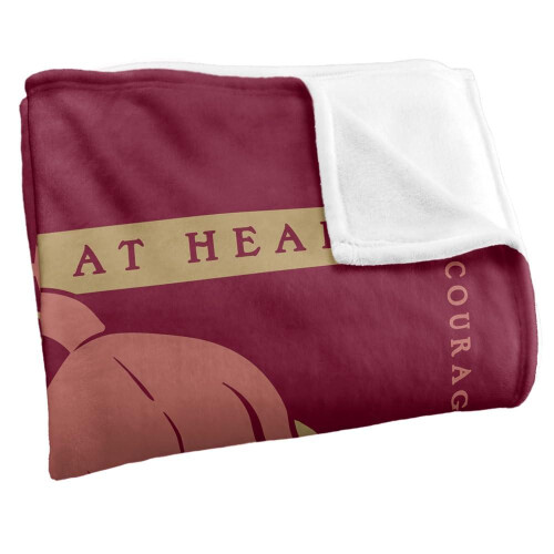 Harry Potter Harry Potter Brave At Heart Gryffindor Blanket 2