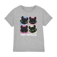 (3-4 Years, Athletic Heather) How To Train Your Dragon Childrens/Kids Team Toothless Squares T-Shirt
