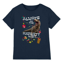 Jurassic World Childrens/Kids Naughty List T-Rex Christmas T-Shirt