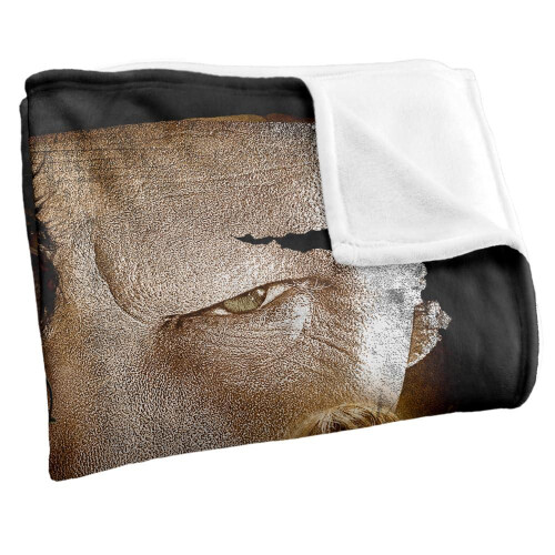 Harry Potter (147cm x 91cm, Multicoloured) Harry Potter Worn Poster Blanket 2