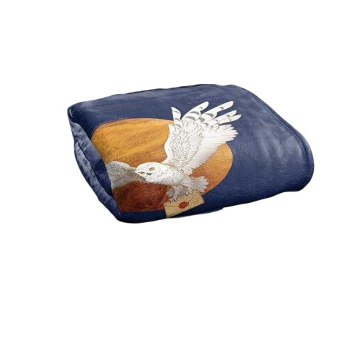 Harry Potter (50in x 60in, Multicoloured) Harry Potter Hedwig Full Moon Soft Touch Throw 1