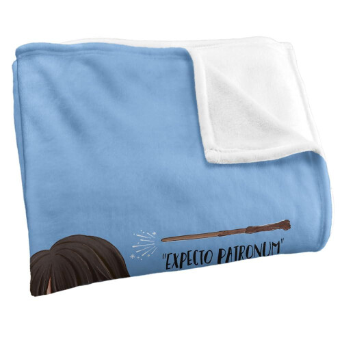 Harry Potter (152cm x 127cm, Multicoloured) Harry Potter Everything That Is Harry Potter Blanket 2