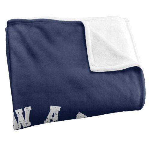 Harry Potter (147cm x 91cm, Multicoloured) Harry Potter Ravenclaw Quidditch Blanket 2
