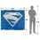 Superman (152cm x 127cm, Multicoloured) Superman 1997 Shield Blanket 6