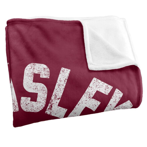 Harry Potter (Standard, Multicoloured) Harry Potter Ron Weasley Jersey Blanket 2