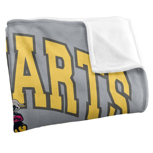 Harry Potter (152cm x 127cm, Grey) Harry Potter Alumni Hufflepuff Blanket 2