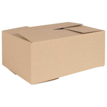 vidaXL Faltbox mit Speicher 50 Stk. Natur 35 x 24 x 15 cm Karton