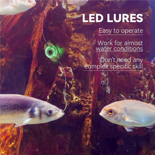 20 Stück LED Unterwasserangelköder, LED Beleuchteter Köderblitzer, Fischköderlampe Angelzubehör 2