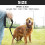 Long Nylon Dog Training Leash for Obedience Tracking Camping Outdoor Use 2